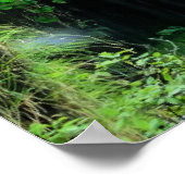 Giessbach Wasserfälle, Schweiz Poster (Ecke)