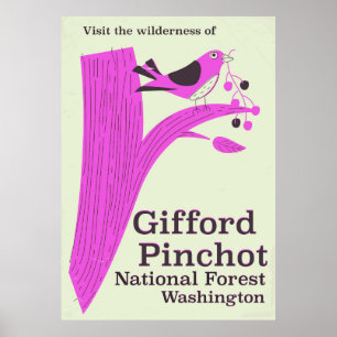 Gifford Pinchot National Forest Washington Poster