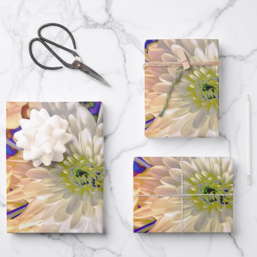 Gift Bag Geschenkpapier Set (Vorderseite)