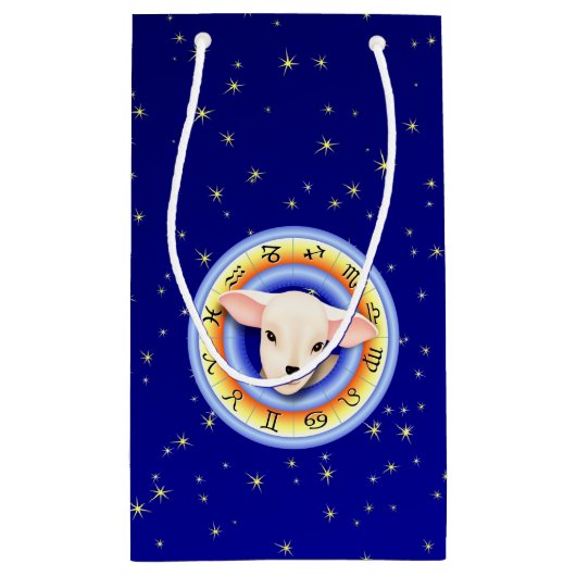 Gift Bag Kleine Geschenktüte (Rückseite)