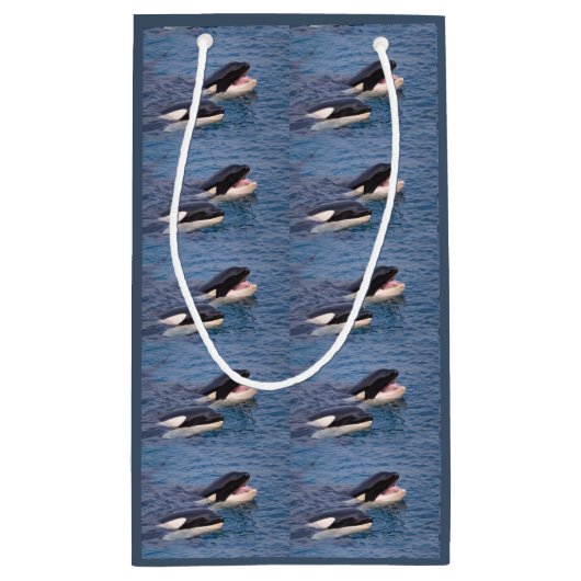 Gift Bag Kleine Geschenktüte (Rückseite)