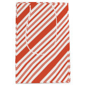 Gift Bag Mittlere Geschenktüte (Vorderseite)