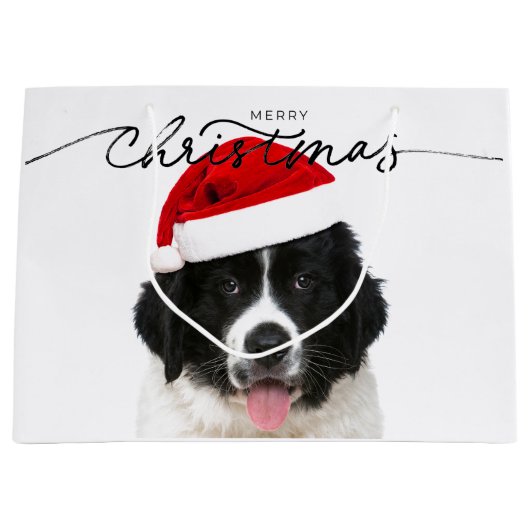 GIFT BAG ST BERNARD PUPPING MIT WEIHNACHTSMANNMÜTZ GROßE GESCHENKTÜTE (Vorderseite)