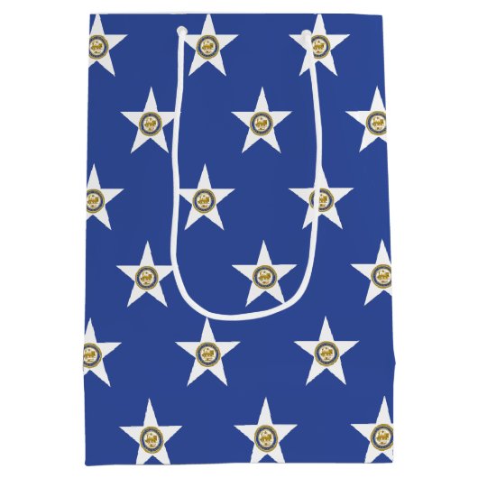 Gift Bag with flag of Houston, Texas, USA Mittlere Geschenktüte (Rückseite)