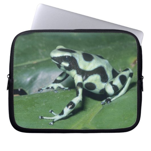 Gift-Dart-Frog (Dendrobates auratus) Cahuita Laptopschutzhülle (Vorderseite)