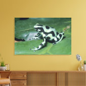 Gift-Dart-Frog (Dendrobates auratus) Cahuita Leinwanddruck (Insitu (Wohnzimmer))