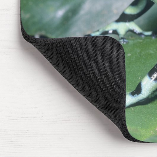 Gift-Dart-Frog (Dendrobates auratus) Cahuita Mousepad (Ecke)