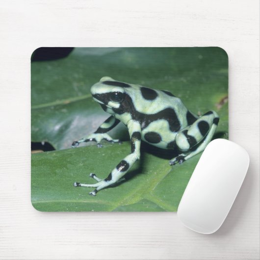 Gift-Dart-Frog (Dendrobates auratus) Cahuita Mousepad (Mit Mouse)