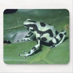Gift-Dart-Frog (Dendrobates auratus) Cahuita Mousepad