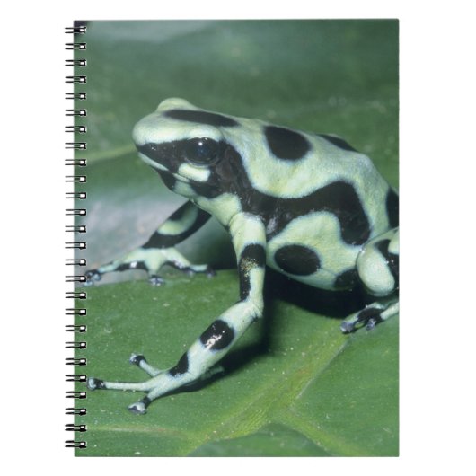 Gift-Dart-Frog (Dendrobates auratus) Cahuita Notizblock (Vorderseite)