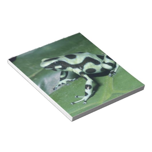 Gift-Dart-Frog (Dendrobates auratus) Cahuita Notizblock (angewinkelt)