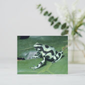 Gift-Dart-Frog (Dendrobates auratus) Cahuita Postkarte (Stehend Vorderseite)