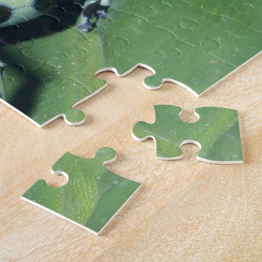 Gift-Dart-Frog (Dendrobates auratus) Cahuita Puzzle (Seite)