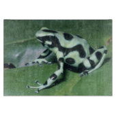 Gift-Dart-Frog (Dendrobates auratus) Cahuita Schneidebrett (Vorderseite)