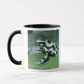 Gift-Dart-Frog (Dendrobates auratus) Cahuita Tasse (Links)