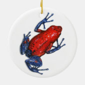 Gift Dart Frog Ornament (Hinten)