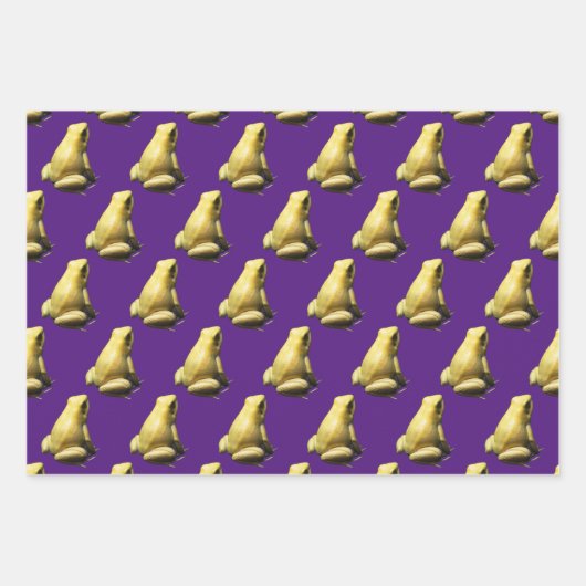 Gift-Dart-Frösche, die Papierblätter umhüllen Geschenkpapier Set (Vorderseite 3)