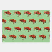 Gift-Dart-Frösche, die Papierblätter umhüllen Geschenkpapier Set (Vorderseite)