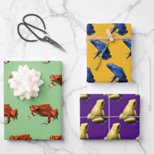 Gift-Dart-Frösche, die Papierblätter umhüllen Geschenkpapier Set