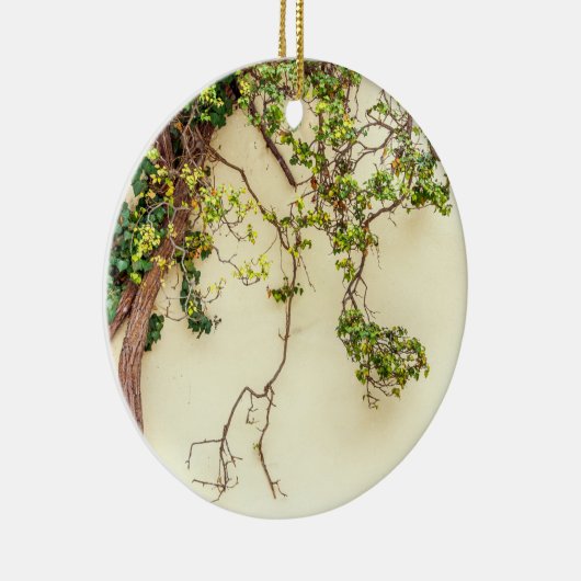 Gift-Efeu auf einer gelben Wand Keramik Ornament (Rechts)