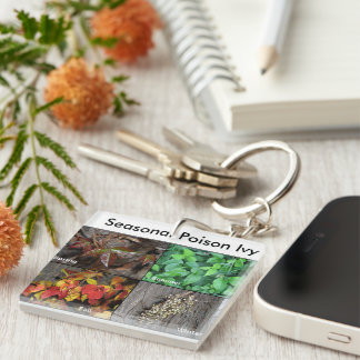 Gift-Efeu-Schlüsselanhänger Schlüsselanhänger