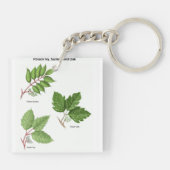 Gift-Efeu-Schlüsselanhänger Schlüsselanhänger (Rückseite)