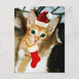 GIFT FOR YOU POSTKARTE