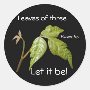 Gift-Ivy-Aufkleber Runder Aufkleber