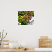 Gift Ivy Poster (Küche)