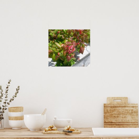 Gift Ivy Poster (Küche)