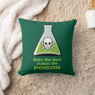 Gift Kissen