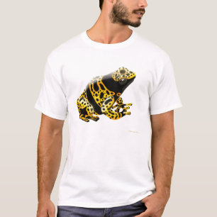 Gift-Pfeil-Frosch Leucomelas T - Shirt