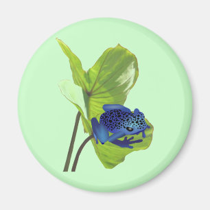Gift-Pfeil-Frosch Magnet