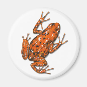 Gift-Pfeil-Frosch-Magnet Magnet