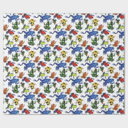 Gift-Pfeil-Frosch-Packpapier Geschenkpapier (Flach)