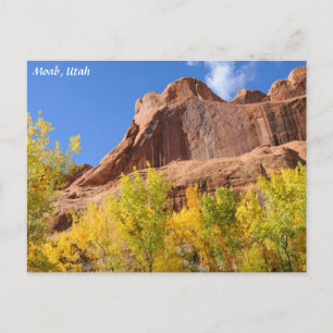 Gift-Spinnen-MESA im Fall - Moab Postkarte