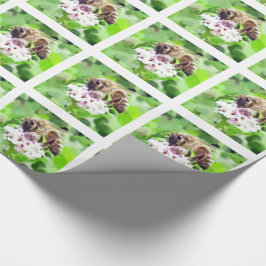 Gift Wrap - Honey Bee on Clover Geschenkpapier
