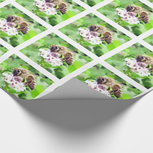 Gift Wrap - Honey Bee on Clover Geschenkpapier (Ecke)