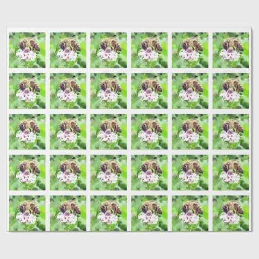Gift Wrap - Honey Bee on Clover Geschenkpapier (Flach)