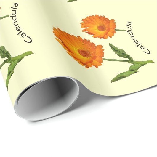 Gift Wrap - Kalendula Blüten Geschenkpapier (Rolleneckpunkt)