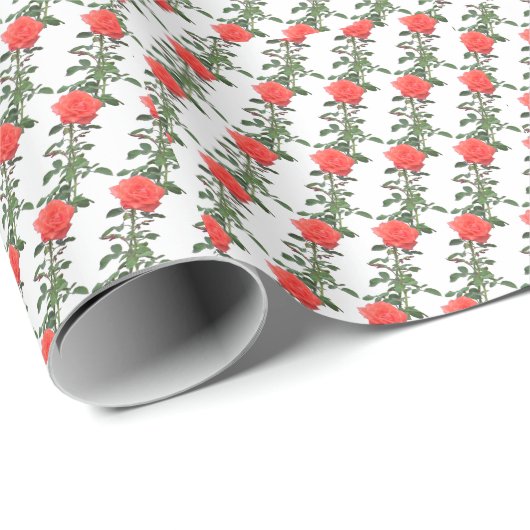 Gift Wrap - Ketten von Rose Geschenkpapier (Rolleneckpunkt)