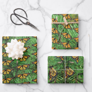 Gift Wrap Paper Monarchie on Pine Boughs Geschenkpapier Set