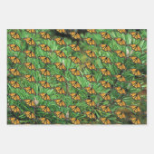 Gift Wrap Paper Monarchs on Pine Boughs Geschenkpapier Set (Vorderseite 2)