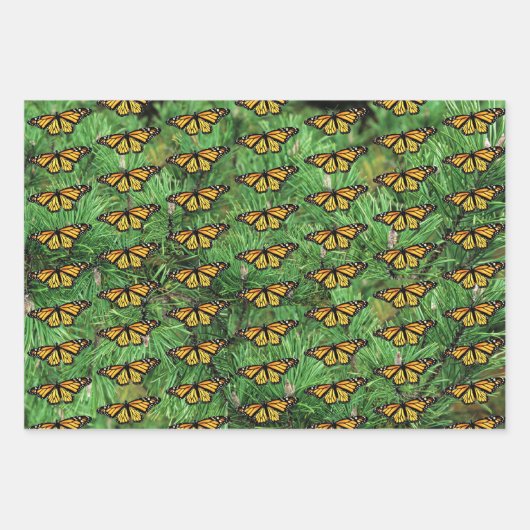Gift Wrap Paper Monarchs on Pine Boughs Geschenkpapier Set (Vorderseite)