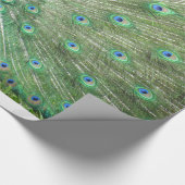 Gift Wrap - Peacock Geschenkpapier (Ecke)