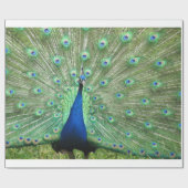 Gift Wrap - Peacock Geschenkpapier (Flach)