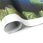 Gift Wrap - Peacock Geschenkpapier (Rolleneckpunkt)