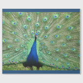 Gift Wrap - Peacock (v.2) Geschenkpapier (Flach)