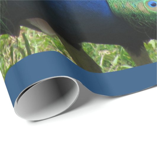 Gift Wrap - Peacock (v.2) Geschenkpapier (Rolleneckpunkt)