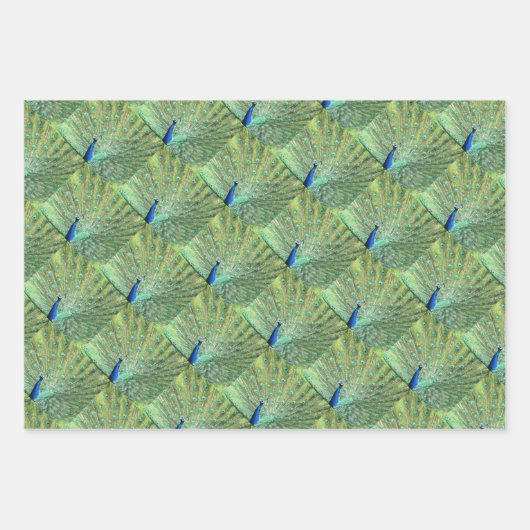 Gift Wrap - Pfauenbilder Geschenkpapier Set (Vorderseite 2)